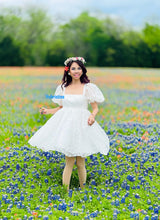 Load image into Gallery viewer, Ariana dress in organza