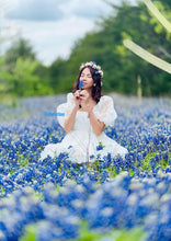 Load image into Gallery viewer, Ariana dress in organza